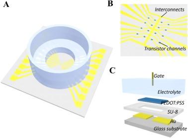 Organic electrochemical transistor array publication graphic