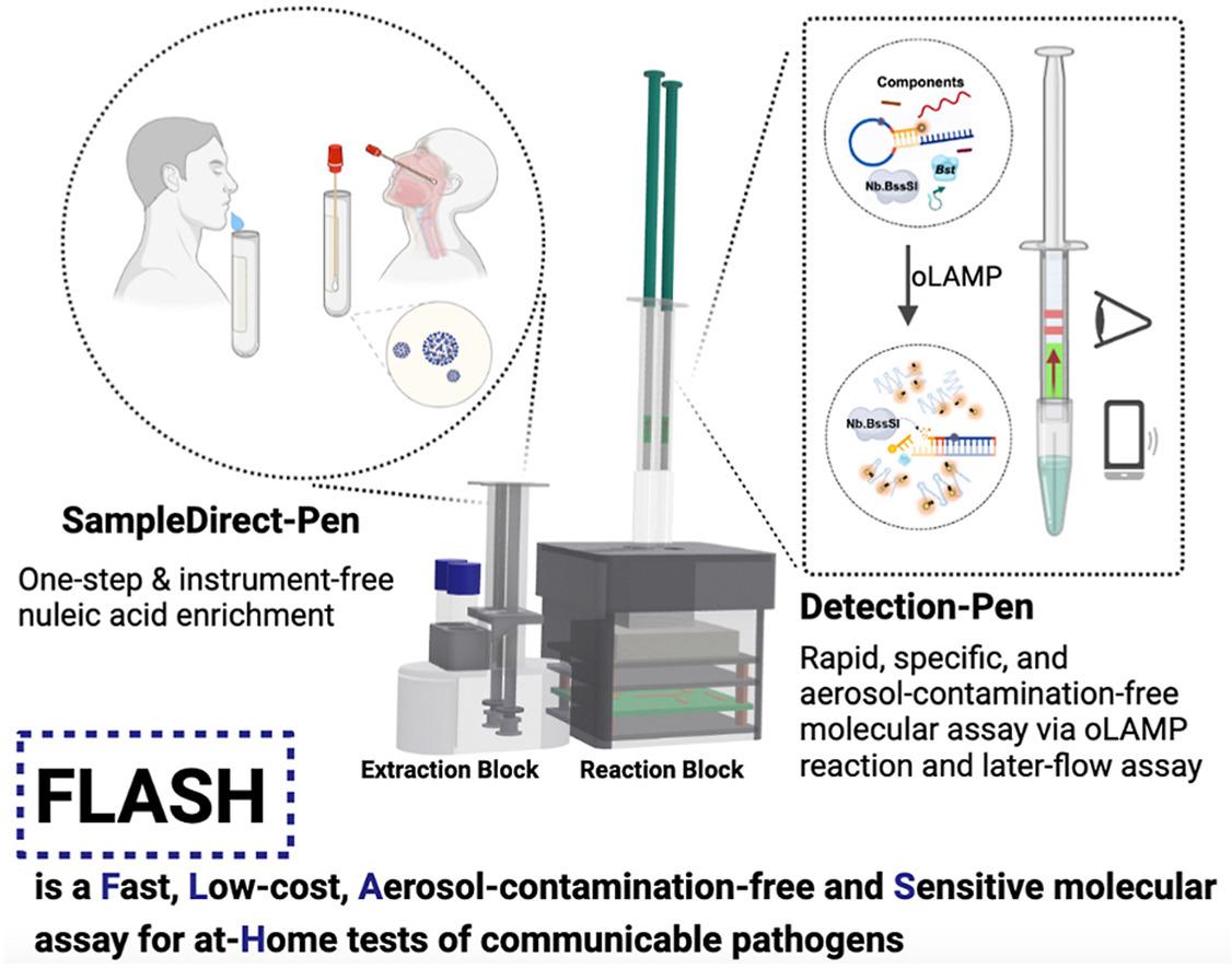 FLASH diagnostic platform publication graphic