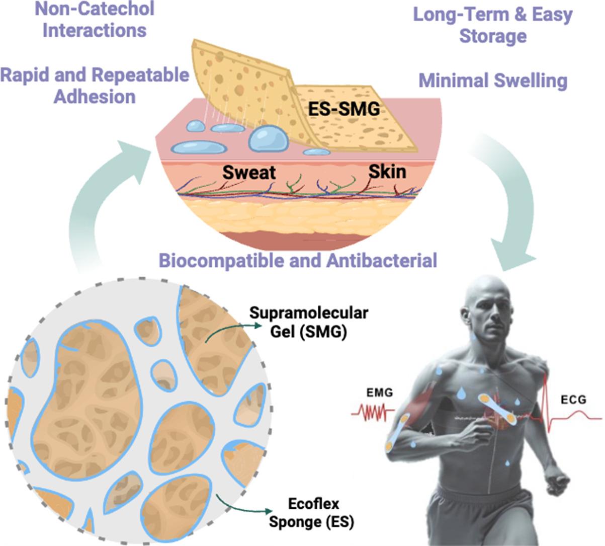 Elastomeric sponge and supramolecular gel patch publication graphic