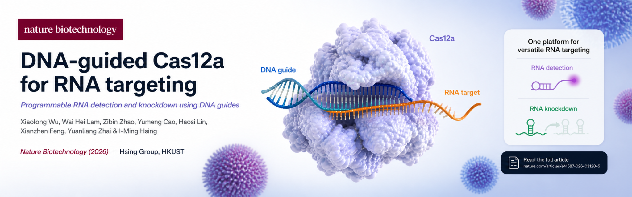 DNA-guided Cas12a for RNA targeting, Nature Biotechnology (2026)