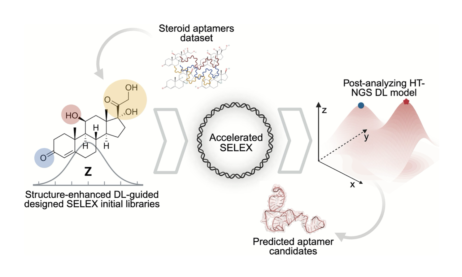 DL-SELEX publication graphic